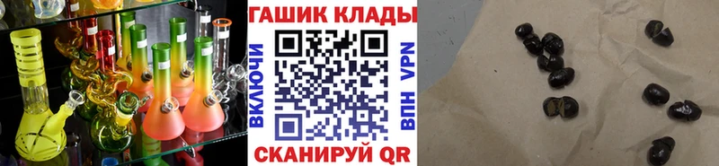 дарнет шоп  Чадан  Гашиш ice o lator 