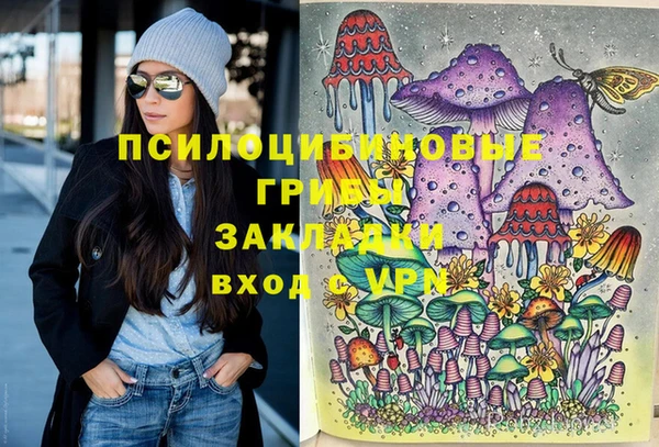 твердый Алексин